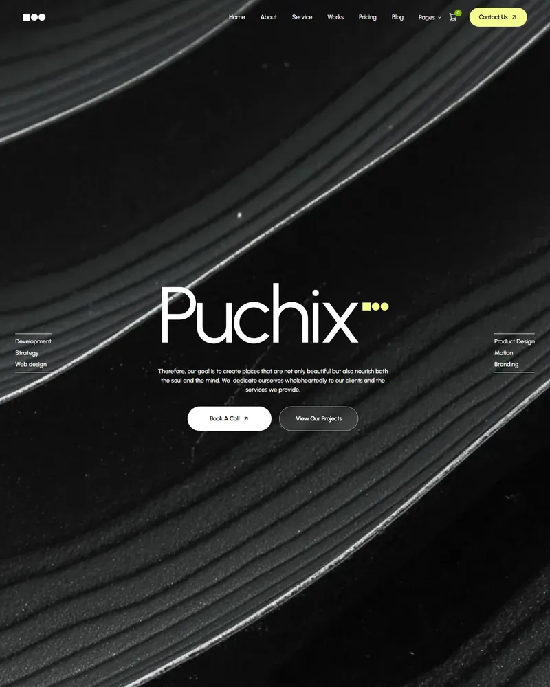 Creative Studio demo — Puchix Studio home page